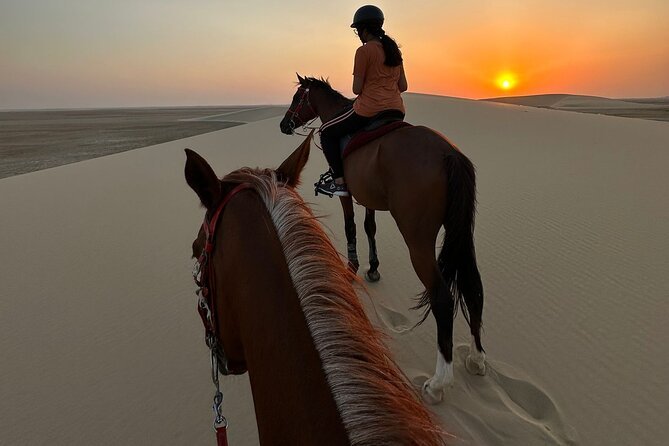 Doha Desert Safari Horse Riding, Camel Ride, ATVs & Inland Sea Image 3